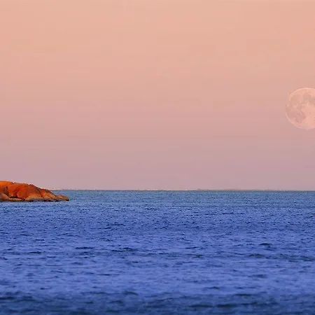 Апартаменты De Tourisme L'albatros